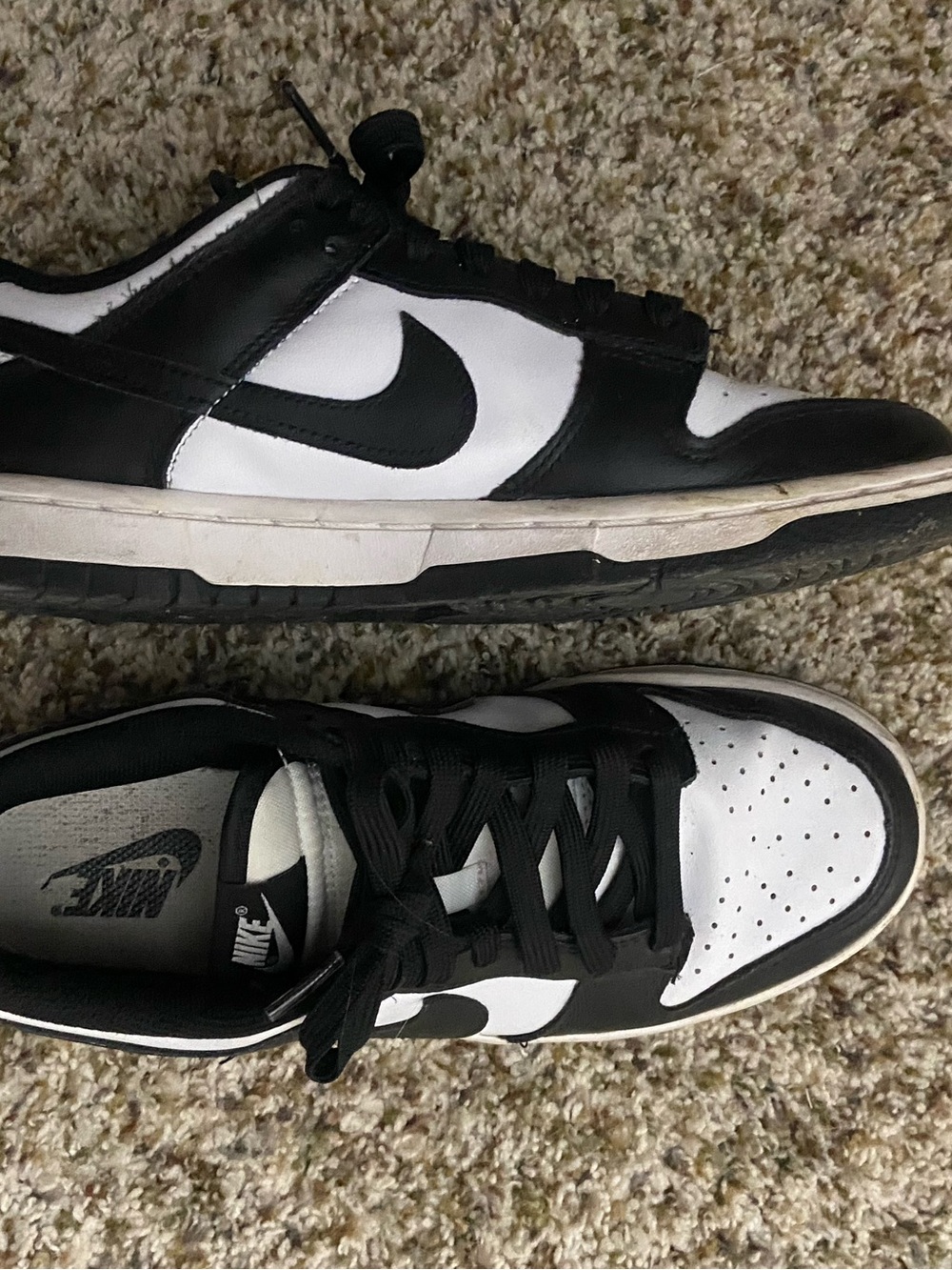 Panda dunks